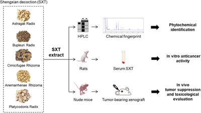 Chemical and Biological Evidence of the Efficacy of Shengxian Decoction for Treating Human Lung Adenocarcinoma